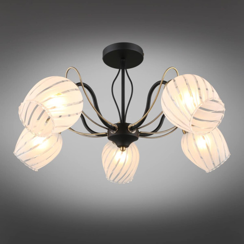 Потолочная люстра Omnilux Garda OML-65507-05 Потолочная люстра Omnilux Garda OML-65507-05