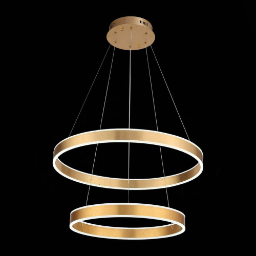 Подвесная светодиодная люстра ST Luce Onze SL944.203.02