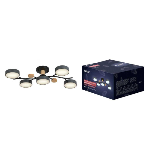 Потолочная люстра Ritter SCANDIA 52080 1 Потолочная люстра Ritter SCANDIA 52080 1