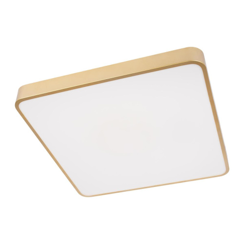 Потолочный светодиодный светильник Loft IT Flims 10228/D Потолочный светодиодный светильник Loft IT Flims 10228/D
