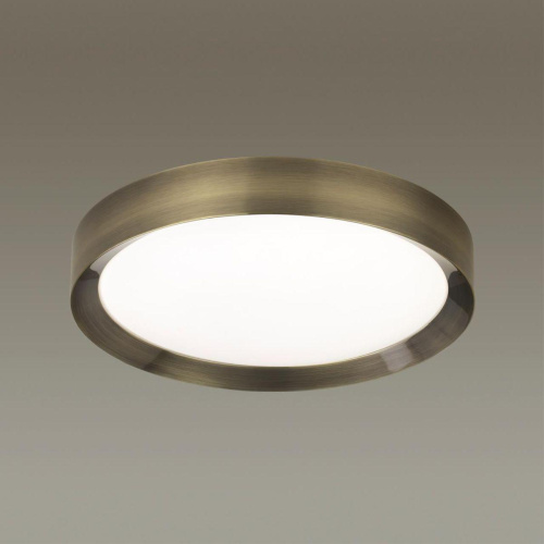 Потолочный светодиодный светильник Odeon Light Walli Lunor 4948/45CL Потолочный светодиодный светильник Odeon Light Walli Lunor 4948/45CL