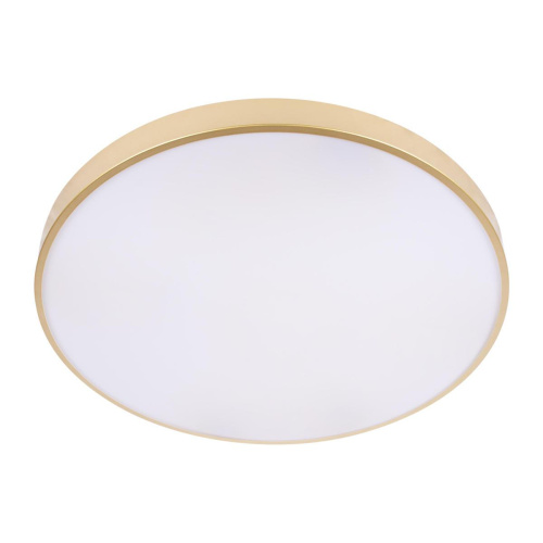 Потолочный светодиодный светильник Loft IT Flims 10228/B