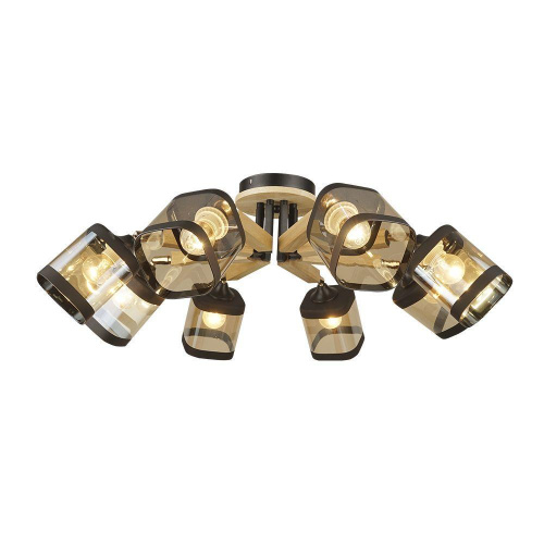 Потолочная люстра Seven Fires Kaleri WD3506/8C-BK-AM Потолочная люстра Seven Fires Kaleri WD3506/8C-BK-AM