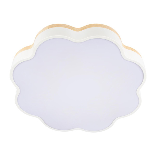 Потолочный светодиодный светильник Loft IT Axel 10225/36 White Потолочный светодиодный светильник Loft IT Axel 10225/36 White