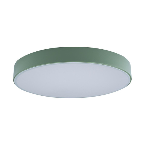 Потолочный светодиодный светильник Loft IT Axel 10002/24 green Потолочный светодиодный светильник Loft IT Axel 10002/24 green