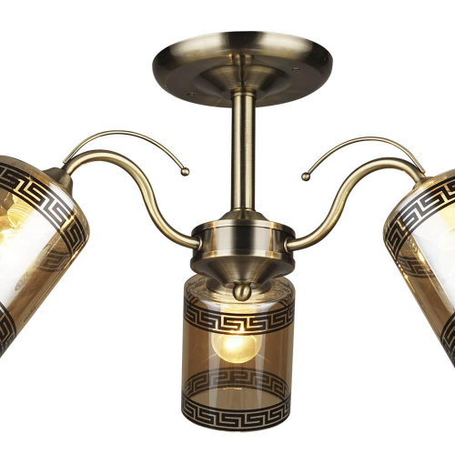 Потолочная люстра Wedo Light Сантади 66229.01.05.03 Потолочная люстра Wedo Light Сантади 66229.01.05.03