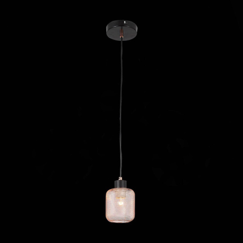 Подвесной светильник ST Luce Forto SL193.303.01 Подвесной светильник ST Luce Forto SL193.303.01