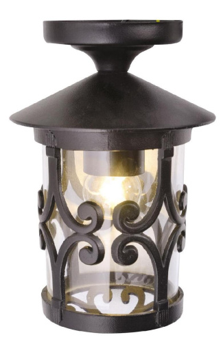 Уличный потолочный светильник Arte Lamp Persia A1453PF-1BK Уличный потолочный светильник Arte Lamp Persia A1453PF-1BK