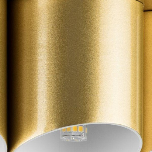 Потолочная люстра Lightstar Siena 720222 Потолочная люстра Lightstar Siena 720222