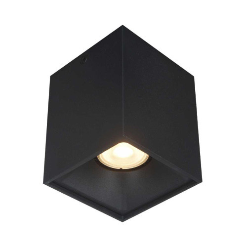 Накладной светильник ST LUCE ST168.402.01 Накладной светильник ST LUCE ST168.402.01