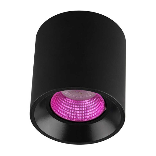Потолочный светильник Denkirs DK3020BPI DK3090-BK+PI Потолочный светильник Denkirs DK3020BPI DK3090-BK+PI