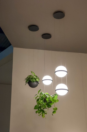 Подвесной Светильник Palma Lamp Шар By Imperiumloft Подвесной Светильник Palma Lamp Шар By Imperiumloft