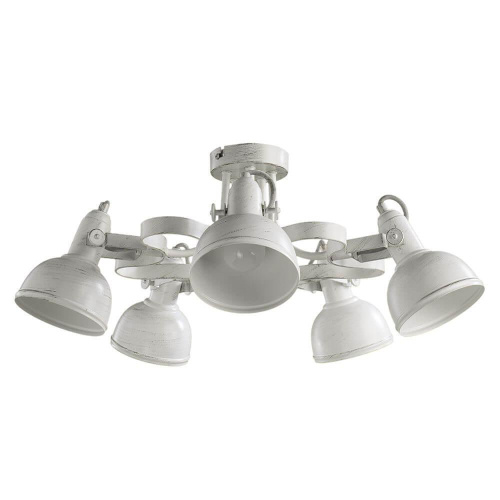 Потолочная люстра Arte Lamp Martin A5216PL-5WG Потолочная люстра Arte Lamp Martin A5216PL-5WG