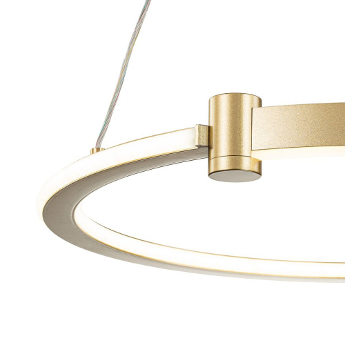 Подвесной светодиодный светильник Indigo Circolato 14015/1P Gold V000077L Подвесной светодиодный светильник Indigo Circolato 14015/1P Gold V000077L