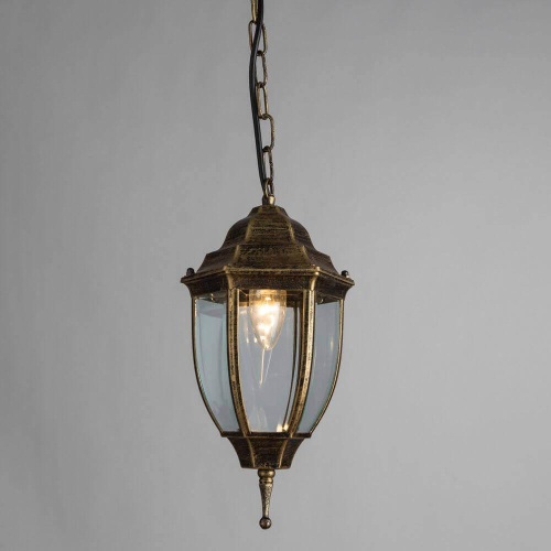 Уличный подвесной светильник Arte Lamp Pegasus A3151SO-1BN Уличный подвесной светильник Arte Lamp Pegasus A3151SO-1BN
