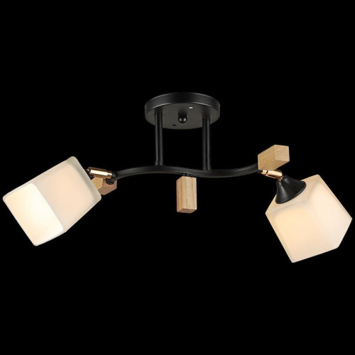 Потолочный светильник Reluce 04866-0.3-02 BK+WOOD Потолочный светильник Reluce 04866-0.3-02 BK+WOOD