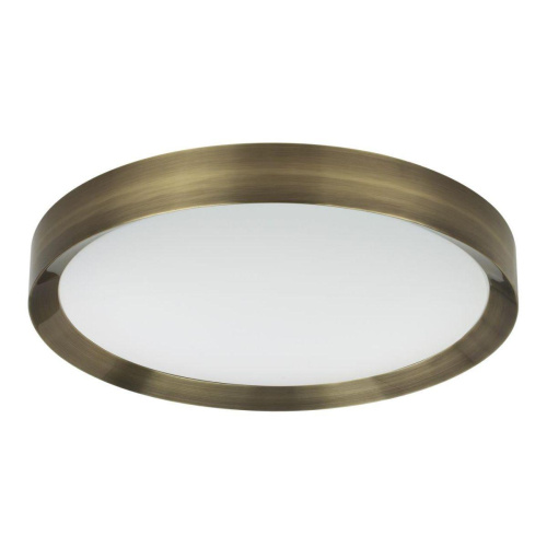 Потолочный светодиодный светильник Odeon Light Walli Lunor 4948/60CL Потолочный светодиодный светильник Odeon Light Walli Lunor 4948/60CL