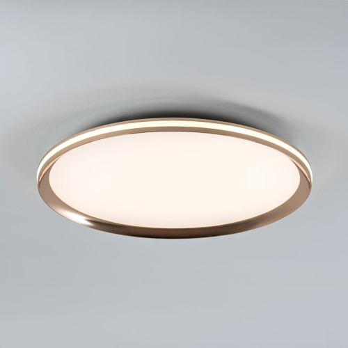 Потолочный cветильник LED4U L3020-500 GD Потолочный cветильник LED4U L3020-500 GD