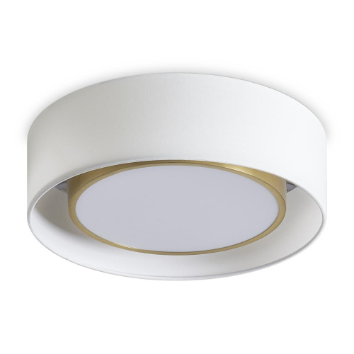 Потолочный светильник Freya FR6170CL-L52BS Потолочный светильник Freya FR6170CL-L52BS