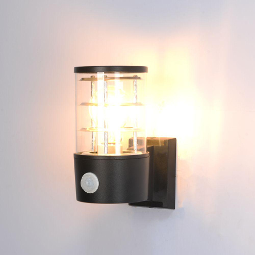 Уличный настенный светильник Arte Lamp Tokyo A5316AL-1BK Уличный настенный светильник Arte Lamp Tokyo A5316AL-1BK