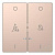 Клавиша двойная Schneider Electric Merten D-Life MTN3429-6051