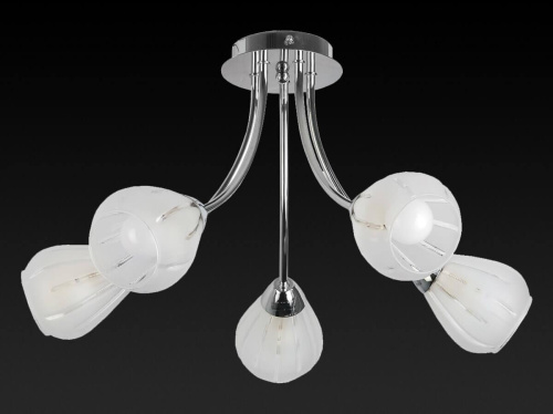 Потолочная люстра Toplight Fay TL3660X-05CH Потолочная люстра Toplight Fay TL3660X-05CH