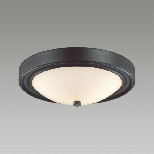 Настенно-потолочный светильник Lumion Vintage Nina 5260/2C