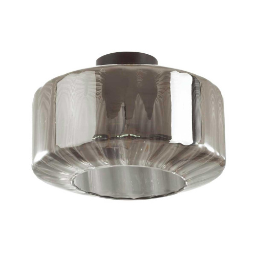 Потолочный светильник Odeon Light Binga 4746/1C Потолочный светильник Odeon Light Binga 4746/1C