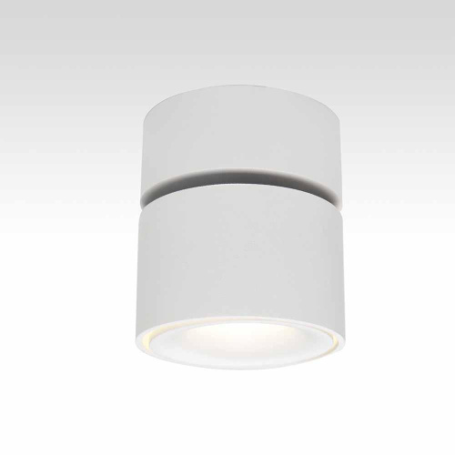Светодиодный спот Citilux Стамп CL558010N Светодиодный спот Citilux Стамп CL558010N