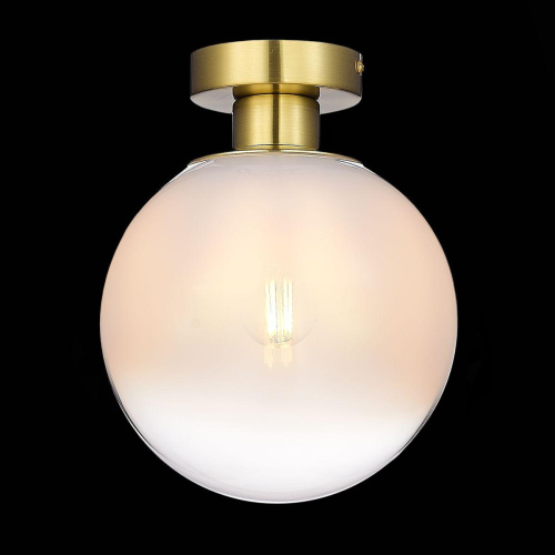 Потолочный светильник ST Luce Cassius SL1190.202.01 Потолочный светильник ST Luce Cassius SL1190.202.01