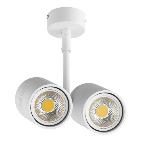 Потолочный светильник Lightstar Rullo 214446 Потолочный светильник Lightstar Rullo 214446
