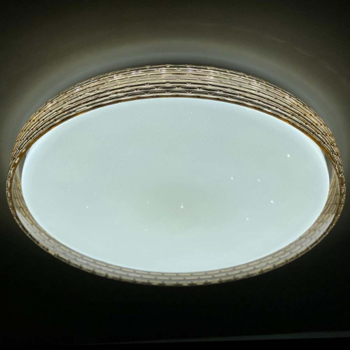 Потолочный светодиодный светильник Profit Light 2095/450 WH+GD RGB Потолочный светодиодный светильник Profit Light 2095/450 WH+GD RGB
