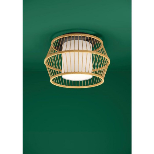 Потолочный светильник Eglo Monterroso 390232 Потолочный светильник Eglo Monterroso 390232