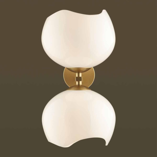 Бра Odeon Light Modern Waterlily 4873/2W Бра Odeon Light Modern Waterlily 4873/2W