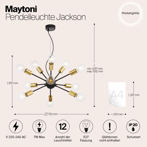 Подвесная люстра Maytoni Jackson T546PL-12B Подвесная люстра Maytoni Jackson T546PL-12B