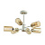 Потолочная люстра Lumion Comfi Dallin 5639/6C
