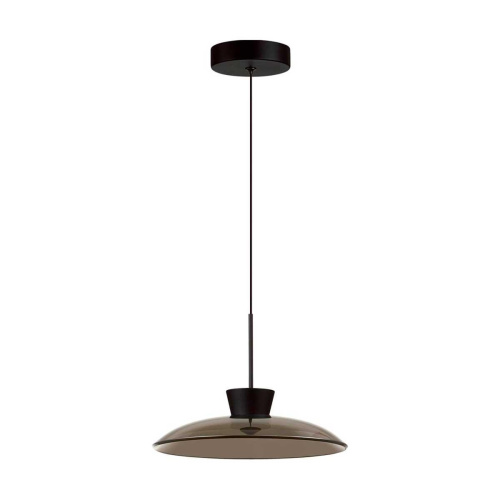 Подвесной светильник Odeon Light SAUCER 5055/9L Подвесной светильник Odeon Light SAUCER 5055/9L