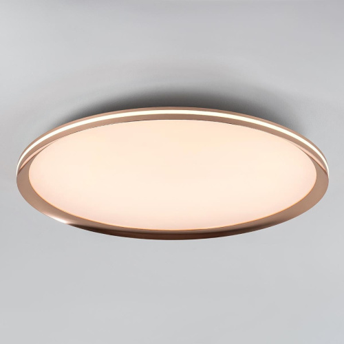 Потолочный cветильник LED4U L3020-600 GD Потолочный cветильник LED4U L3020-600 GD