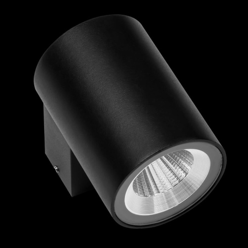 Уличный настенный светодиодный светильник Lightstar Paro 350672 Уличный настенный светодиодный светильник Lightstar Paro 350672