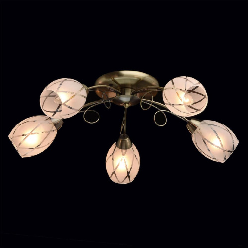 Потолочная люстра MW-Light Грация 358011505 Потолочная люстра MW-Light Грация 358011505