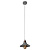 Подвесной светильник Arte Lamp A5067SP-1GY
