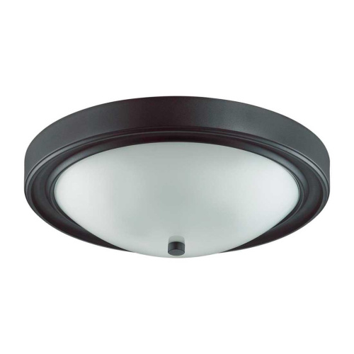 Настенно-потолочный светильник Lumion Vintage Nina 5260/3C Настенно-потолочный светильник Lumion Vintage Nina 5260/3C