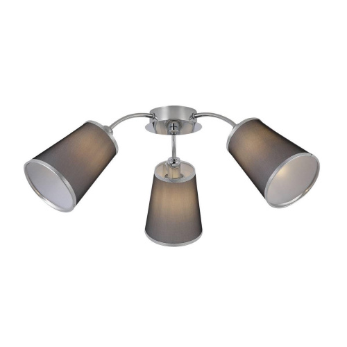 Потолочная люстра Evoluce Maleonte SLE103002-03 Потолочная люстра Evoluce Maleonte SLE103002-03