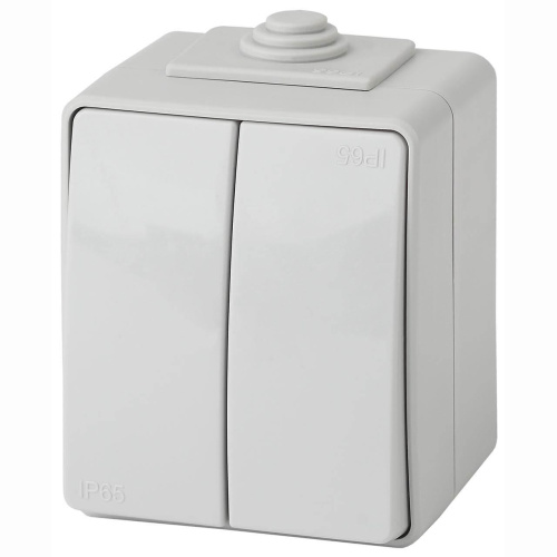 Переключатель двухклавишный ЭРА Эксперт 10AX 250V IP65 11-1606-03 Б0035979 Переключатель двухклавишный ЭРА Эксперт 10AX 250V IP65 11-1606-03 Б0035979