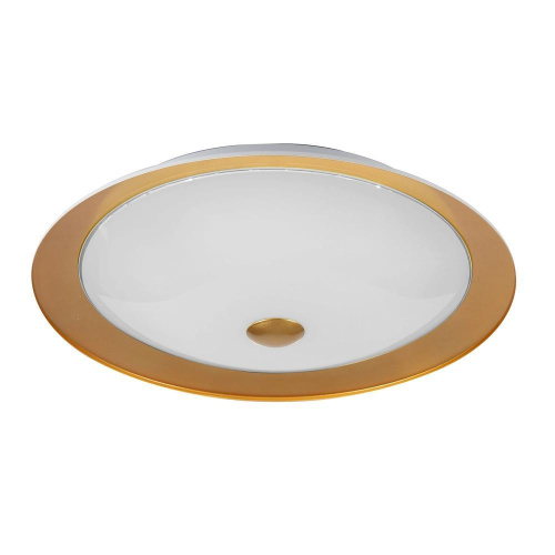 Потолочный светильник Maytoni Euler CL815-PT50-G Потолочный светильник Maytoni Euler CL815-PT50-G