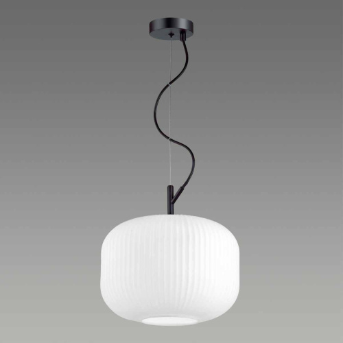 Подвесной светильник Odeon Light Roofi 4754/1 Подвесной светильник Odeon Light Roofi 4754/1