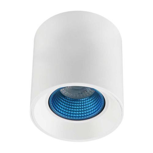 Потолочный светильник Denkirs DK3020WСY DK3090-WH+CY Потолочный светильник Denkirs DK3020WСY DK3090-WH+CY