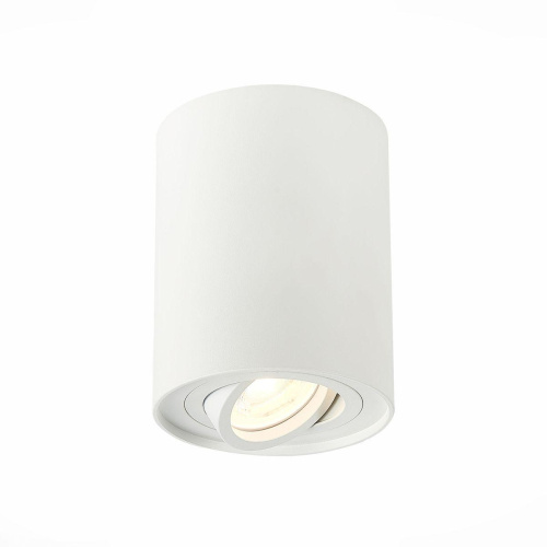 Потолочный светильник ST Luce ST108.517.01 Потолочный светильник ST Luce ST108.517.01