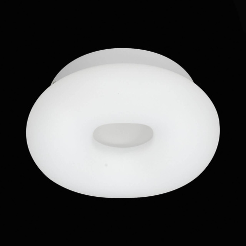 Потолочный светодиодный светильник ST Luce Levita SL960.052.01D Потолочный светодиодный светильник ST Luce Levita SL960.052.01D