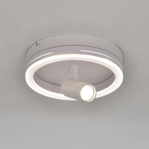 Потолочный светодиодный светильник Escada 20044SMA/02LED WH Потолочный светодиодный светильник Escada 20044SMA/02LED WH